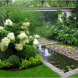 Montáž hortenzie - přistání a péče v otevřené půdě